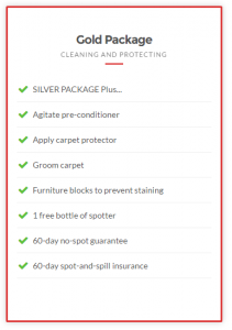 Taylor steamer carpet cleaning package 2