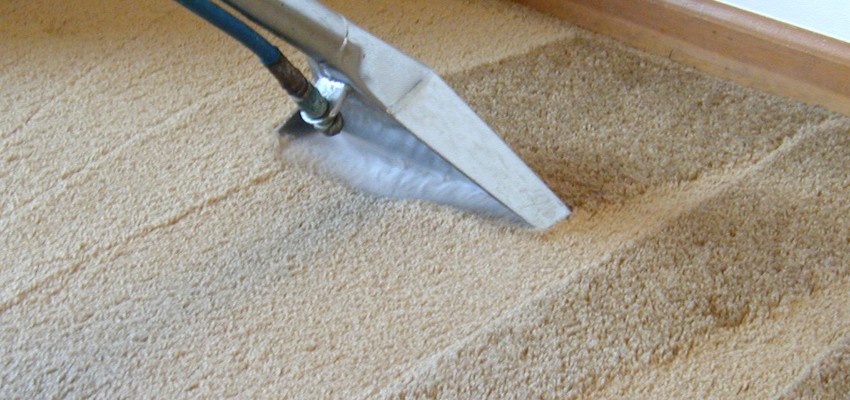 Taylor Steamer, LLC Carpet Cleaning